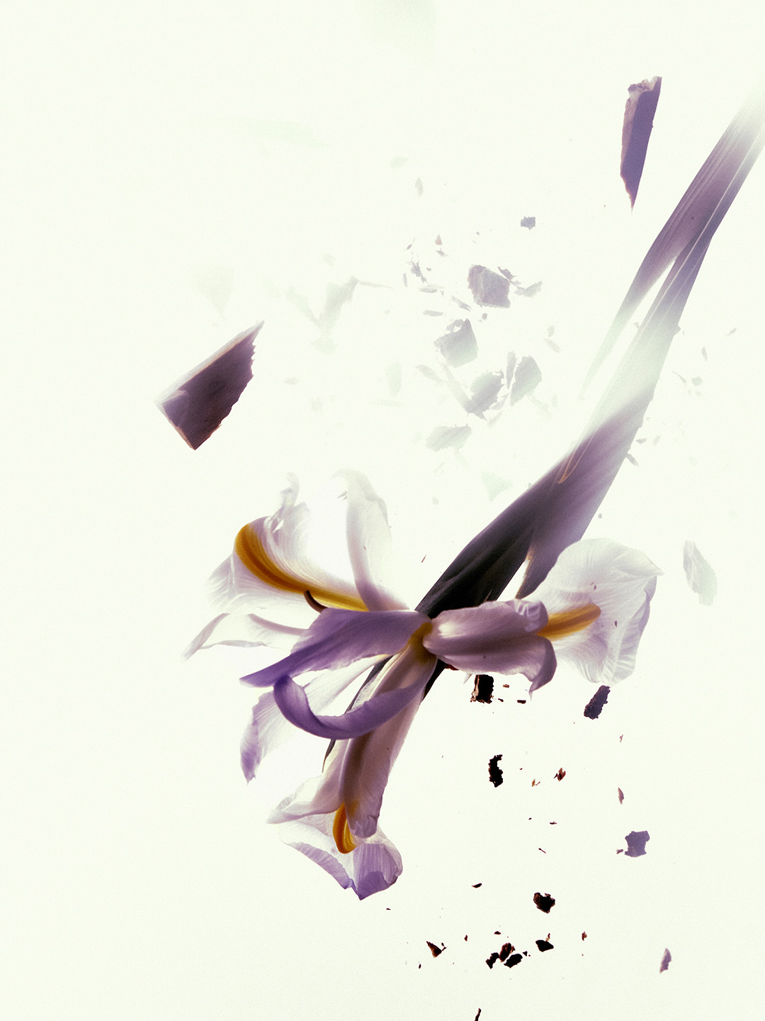 SMOKY SILENCE EAU DE PARFUM 30ML image number 2